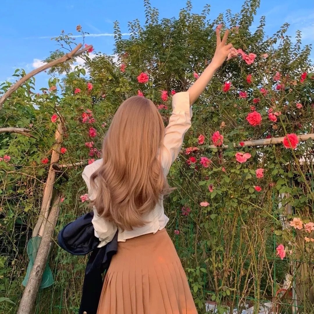 玫瑰无原则心动至上